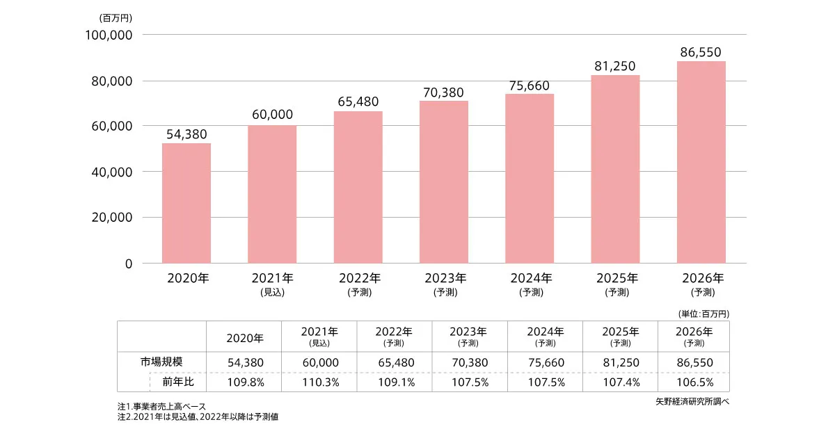 矢野経済研究所によるDMP／MA市場に関する調査資料（2021年）より